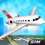 Flight Simulator 3D